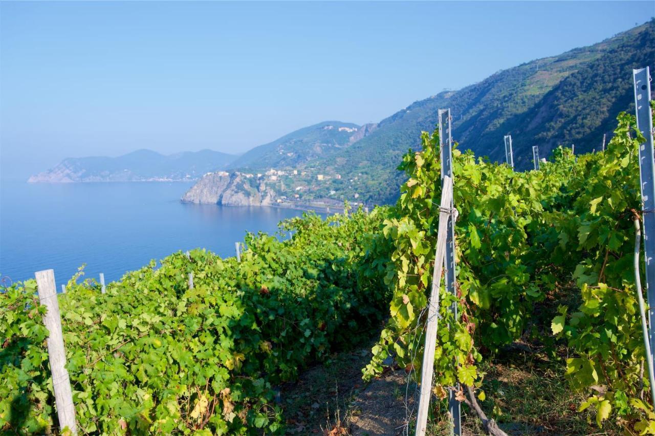 Вилла La Tua Casa Vicino A Portovenere Ле-Грацие Экстерьер фото